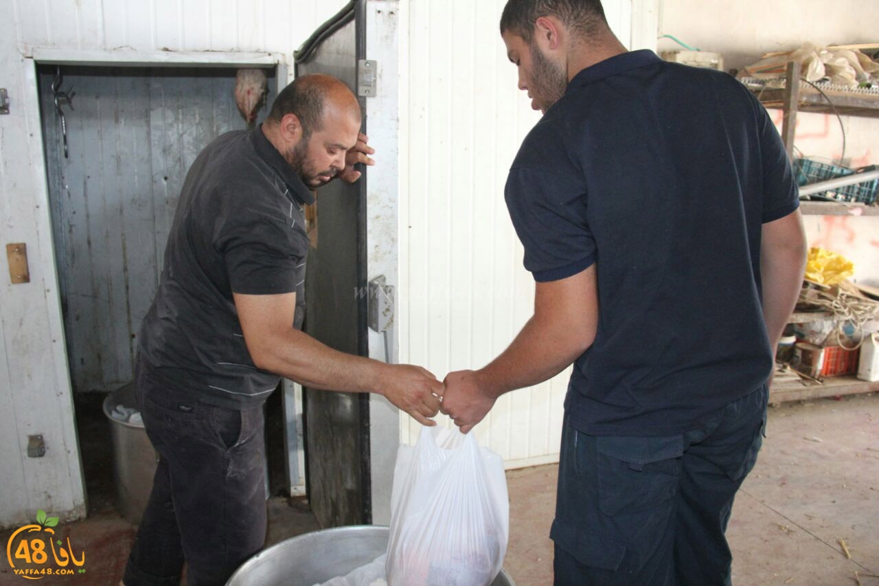 torody second marl7ala (26).jpg